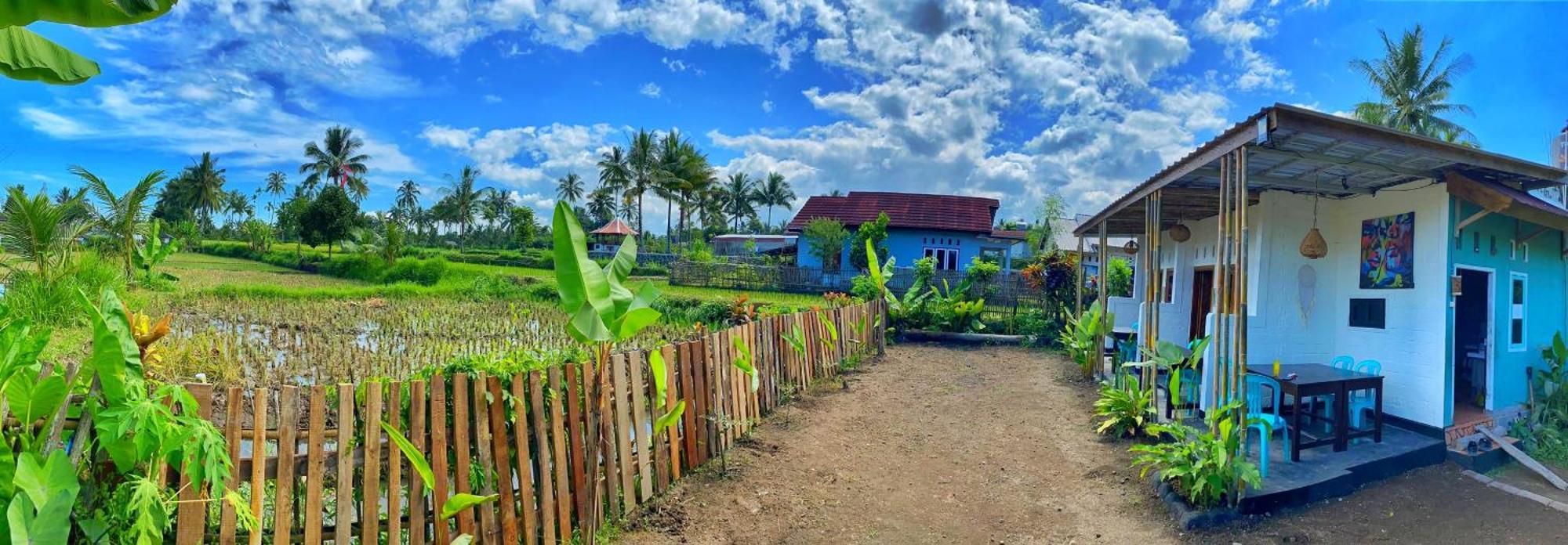 Alfarizi Homestay Tetebatu Exteriör bild