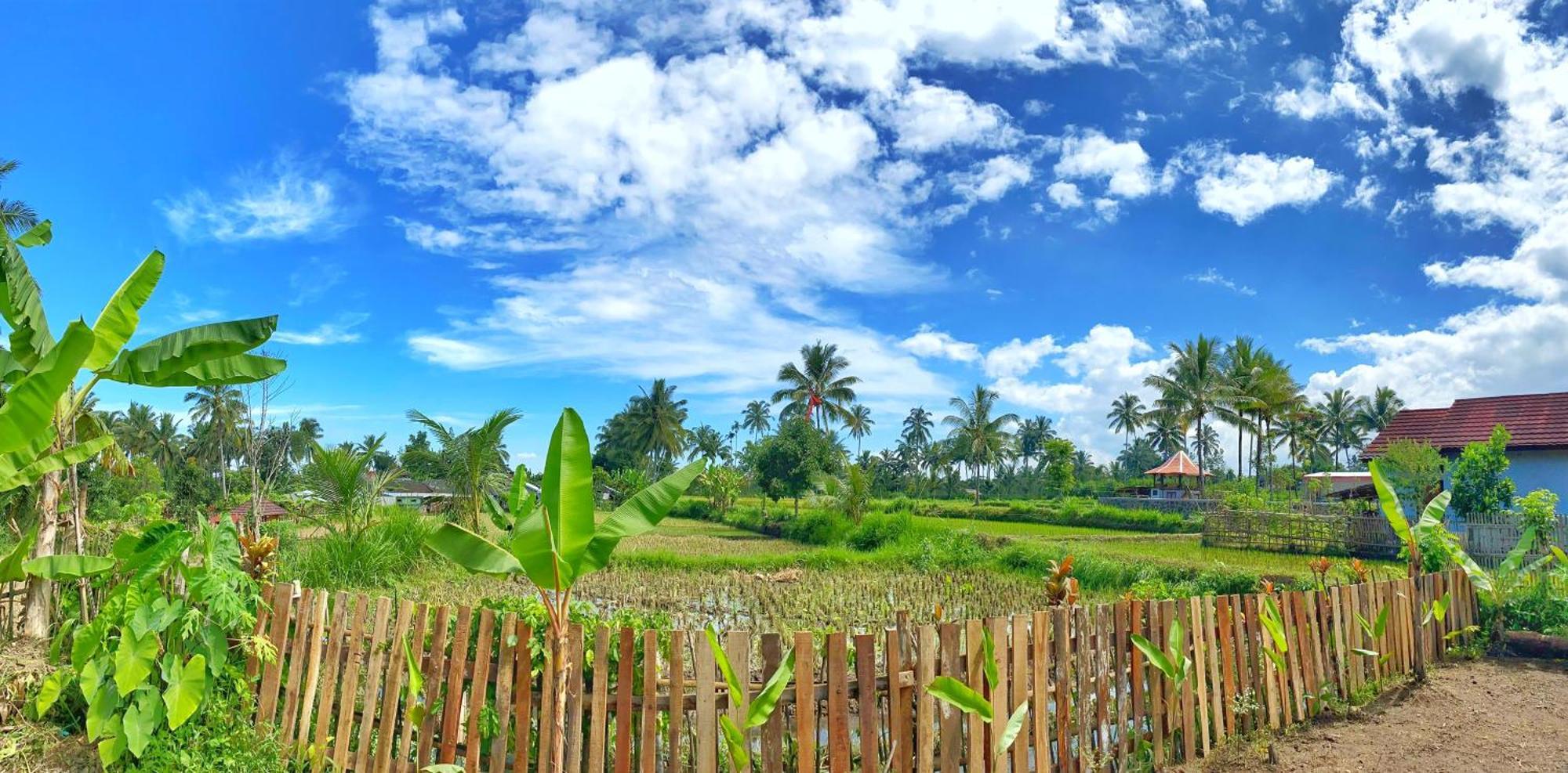 Alfarizi Homestay Tetebatu Exteriör bild