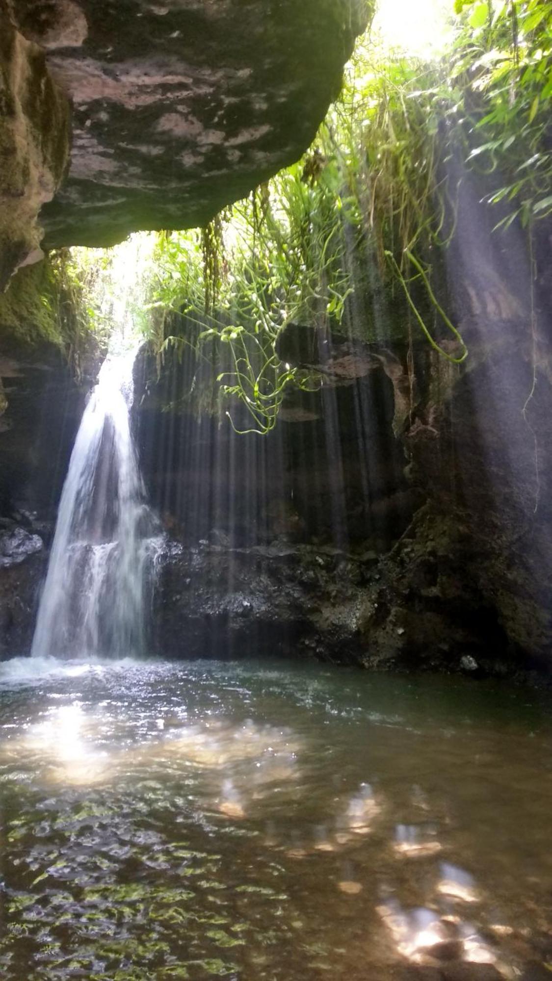 Alfarizi Homestay Tetebatu Exteriör bild