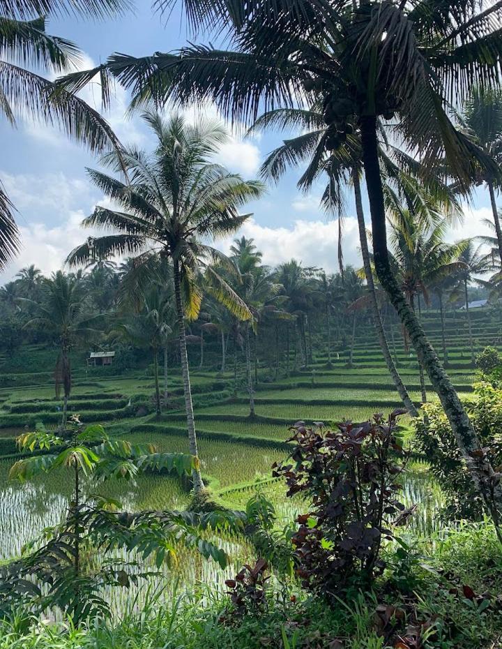 Alfarizi Homestay Tetebatu Exteriör bild