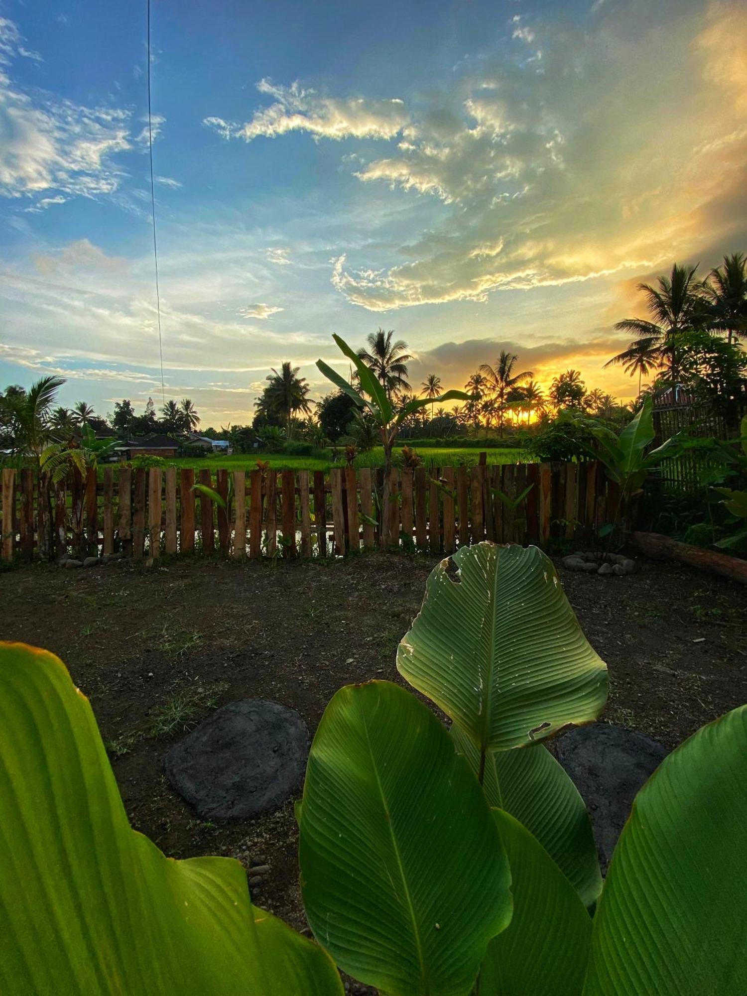 Alfarizi Homestay Tetebatu Exteriör bild