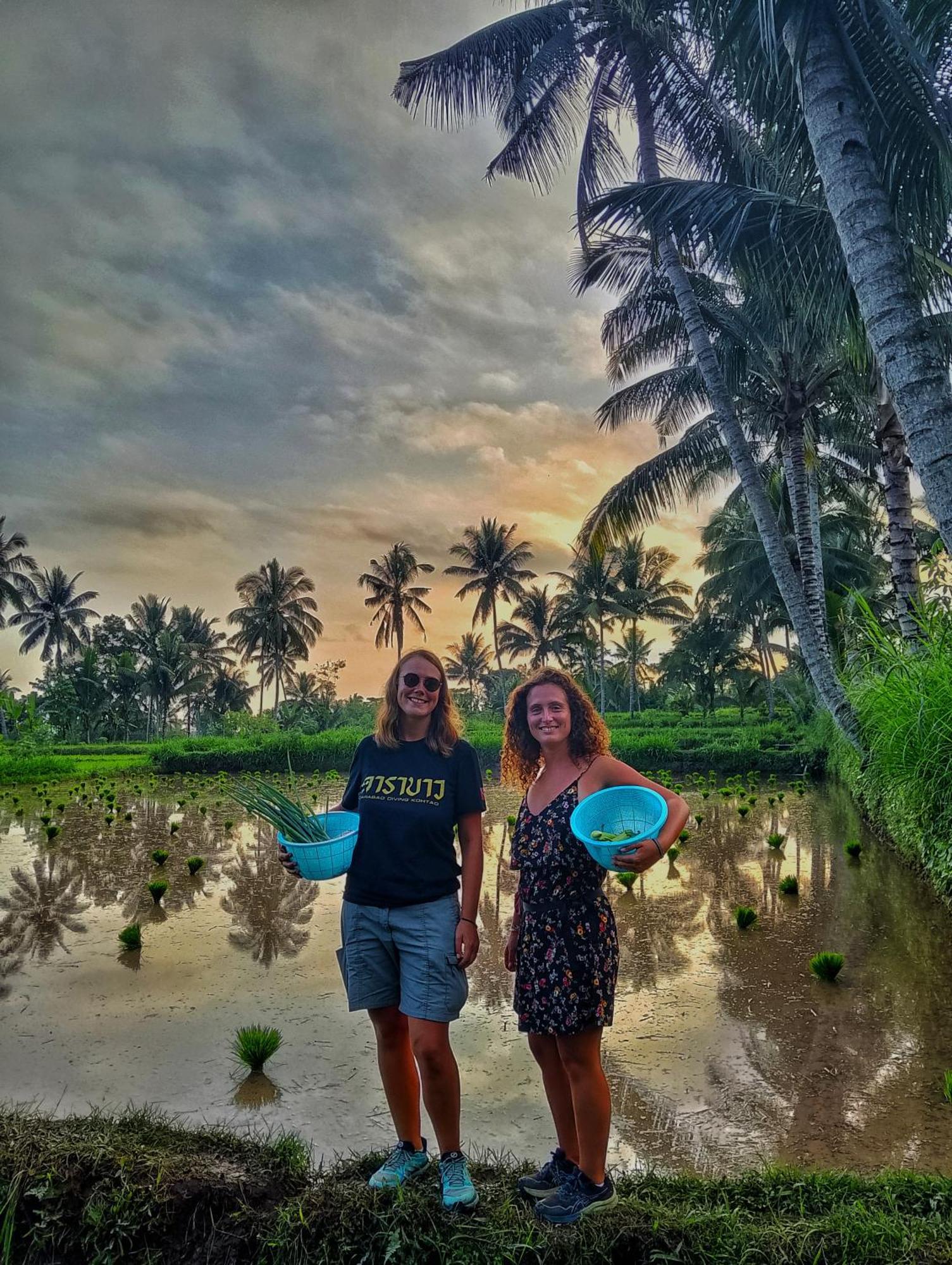 Alfarizi Homestay Tetebatu Exteriör bild