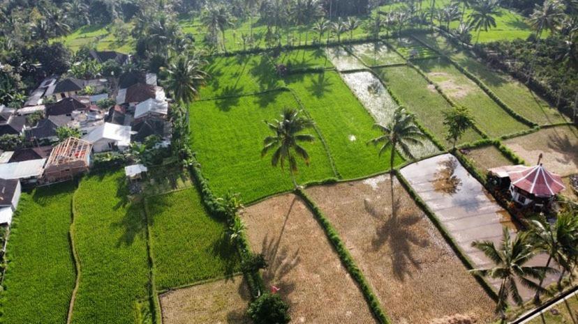 Alfarizi Homestay Tetebatu Exteriör bild
